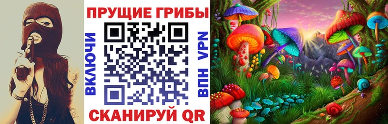 Псилоцибиновые грибы Cubensis  Свирск 